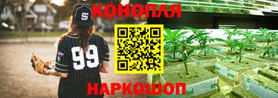 индика Балахна