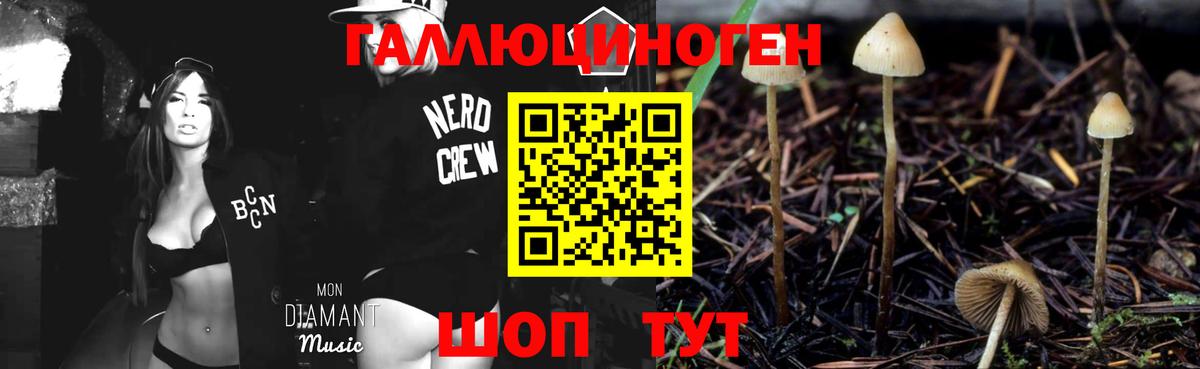 Галлюциногенные грибы Cubensis Мегион